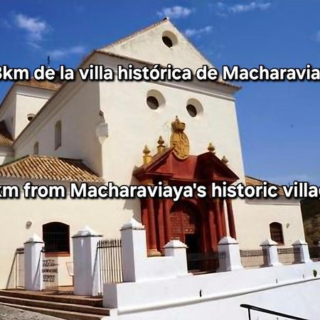 Villa El Maurel Málaga Exterior foto